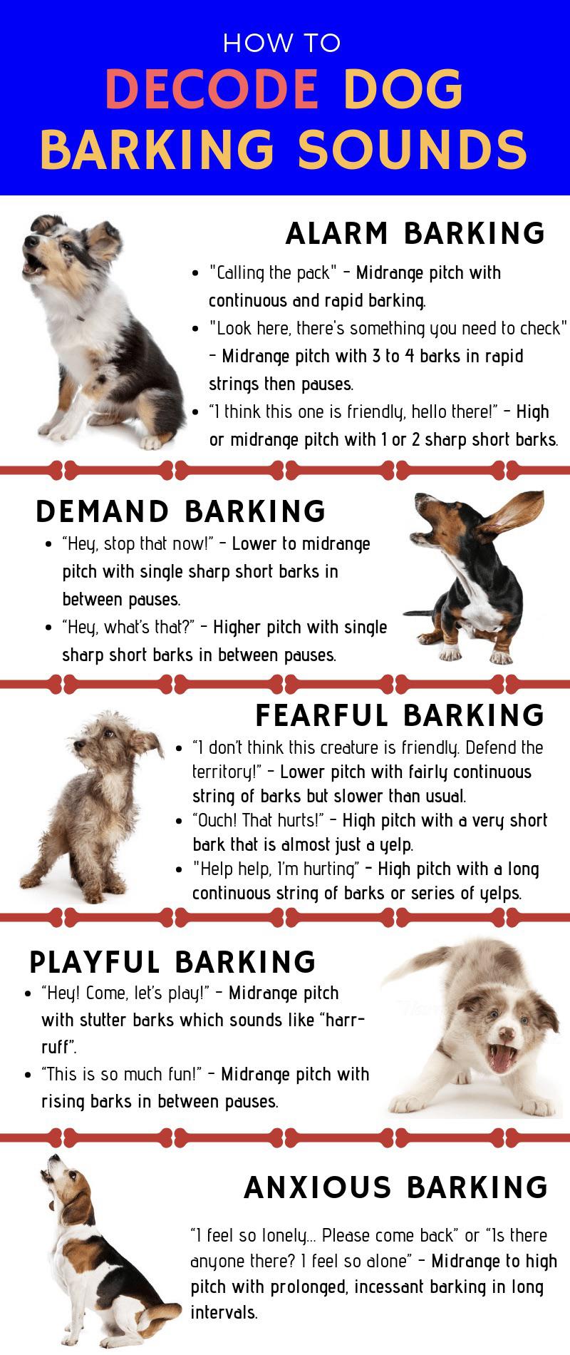 chart about decoding dog barking sounds